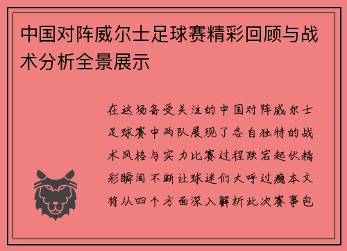 中国对阵威尔士足球赛精彩回顾与战术分析全景展示