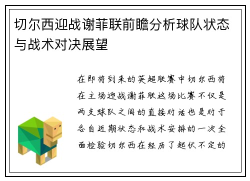 切尔西迎战谢菲联前瞻分析球队状态与战术对决展望
