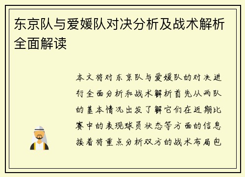东京队与爱媛队对决分析及战术解析全面解读