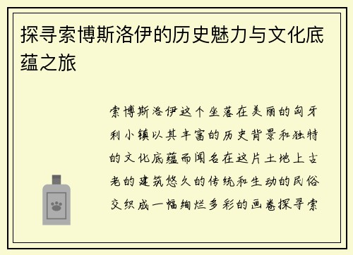探寻索博斯洛伊的历史魅力与文化底蕴之旅