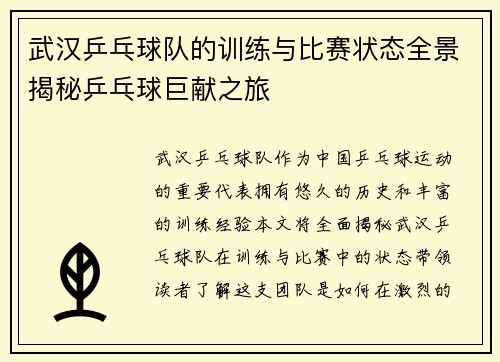 武汉乒乓球队的训练与比赛状态全景揭秘乒乓球巨献之旅