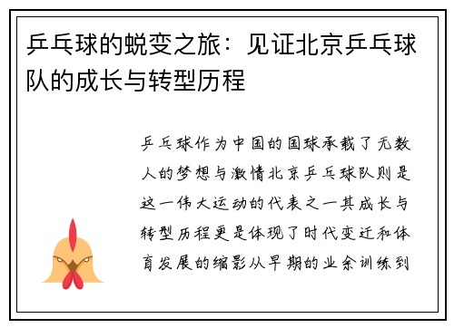 乒乓球的蜕变之旅：见证北京乒乓球队的成长与转型历程